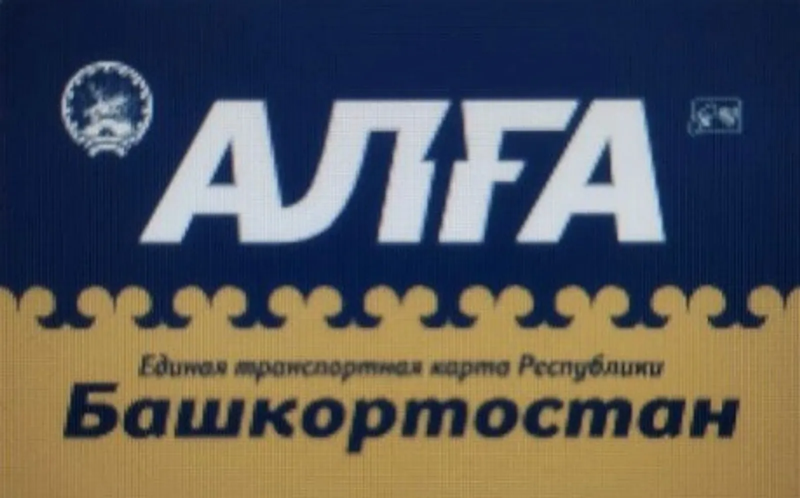 Васили Саитовой.  «Общественная электронная газета».