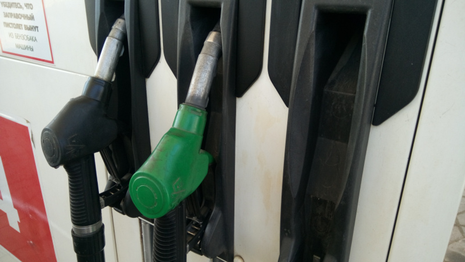 Фото Васили Саитовой.