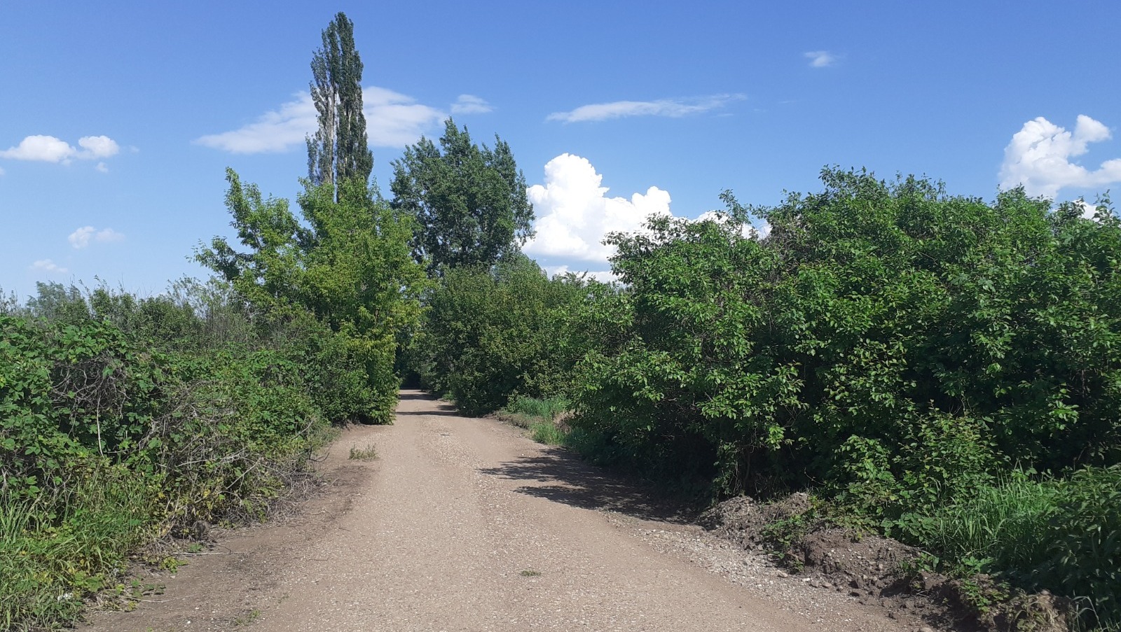 Владимира Шакиева.