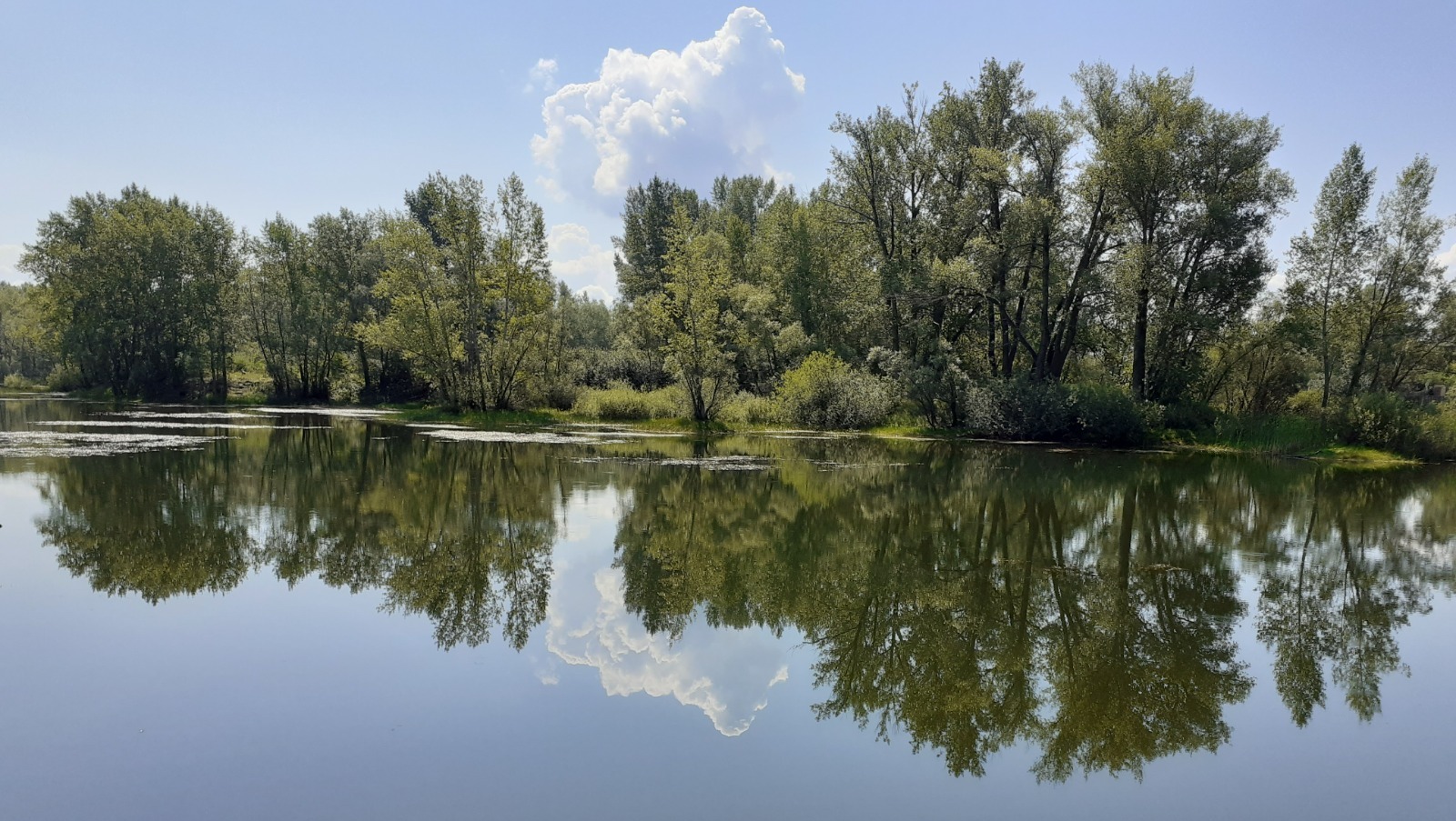 Владимира Шакиева.