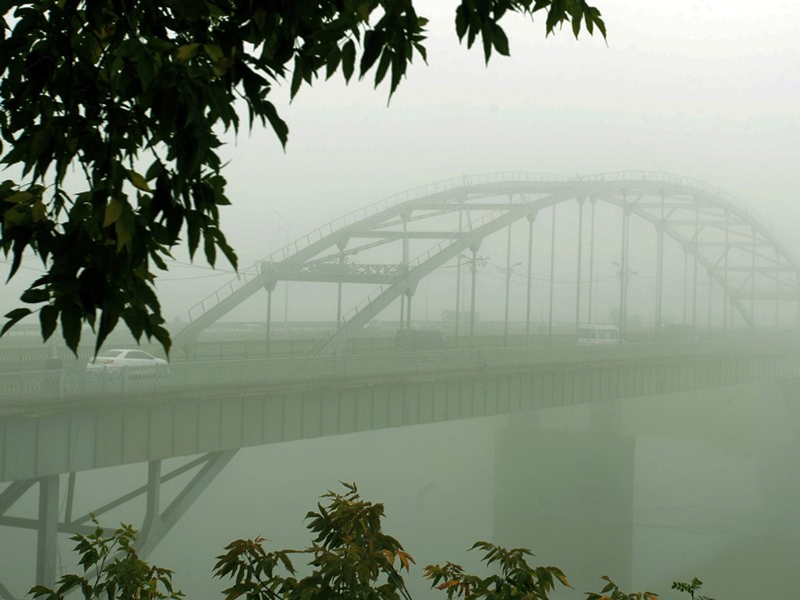 Фото Олега Яровикова.