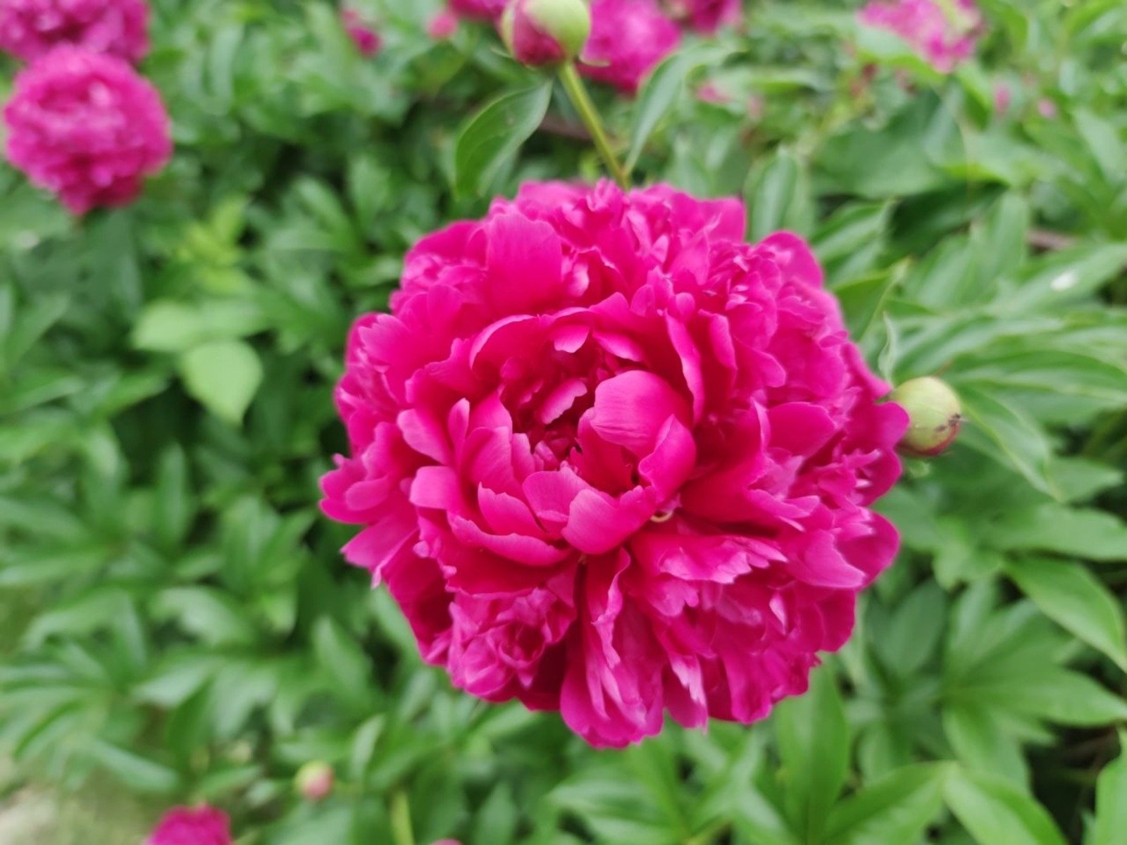 Дарьи Святохиной.