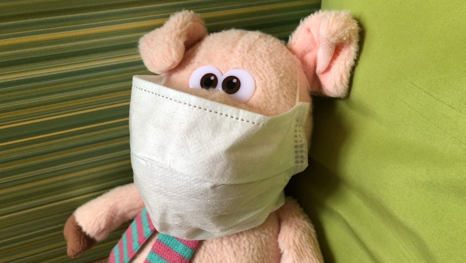 Елены Колоколовой.