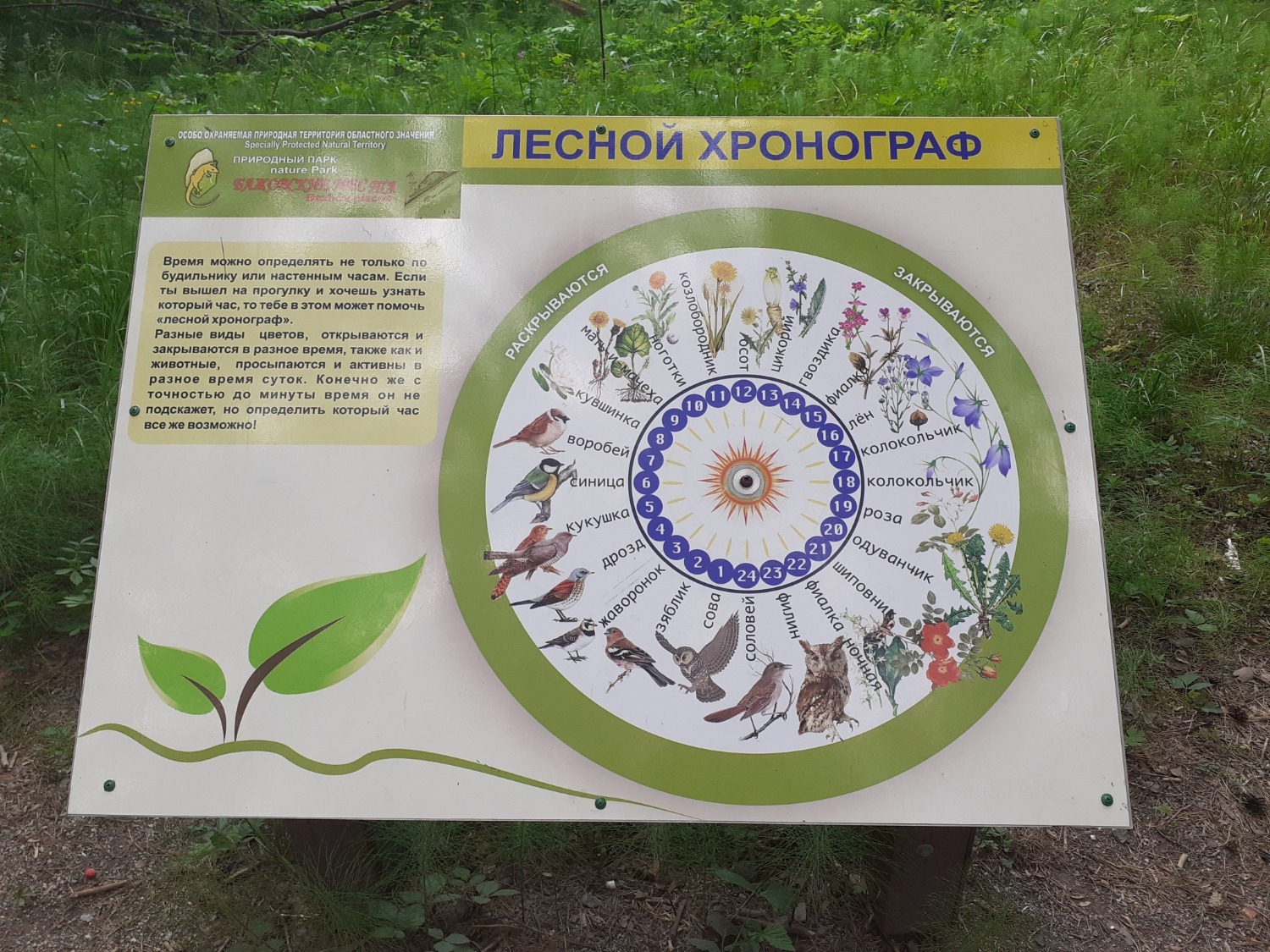 Владимира Шакиева.