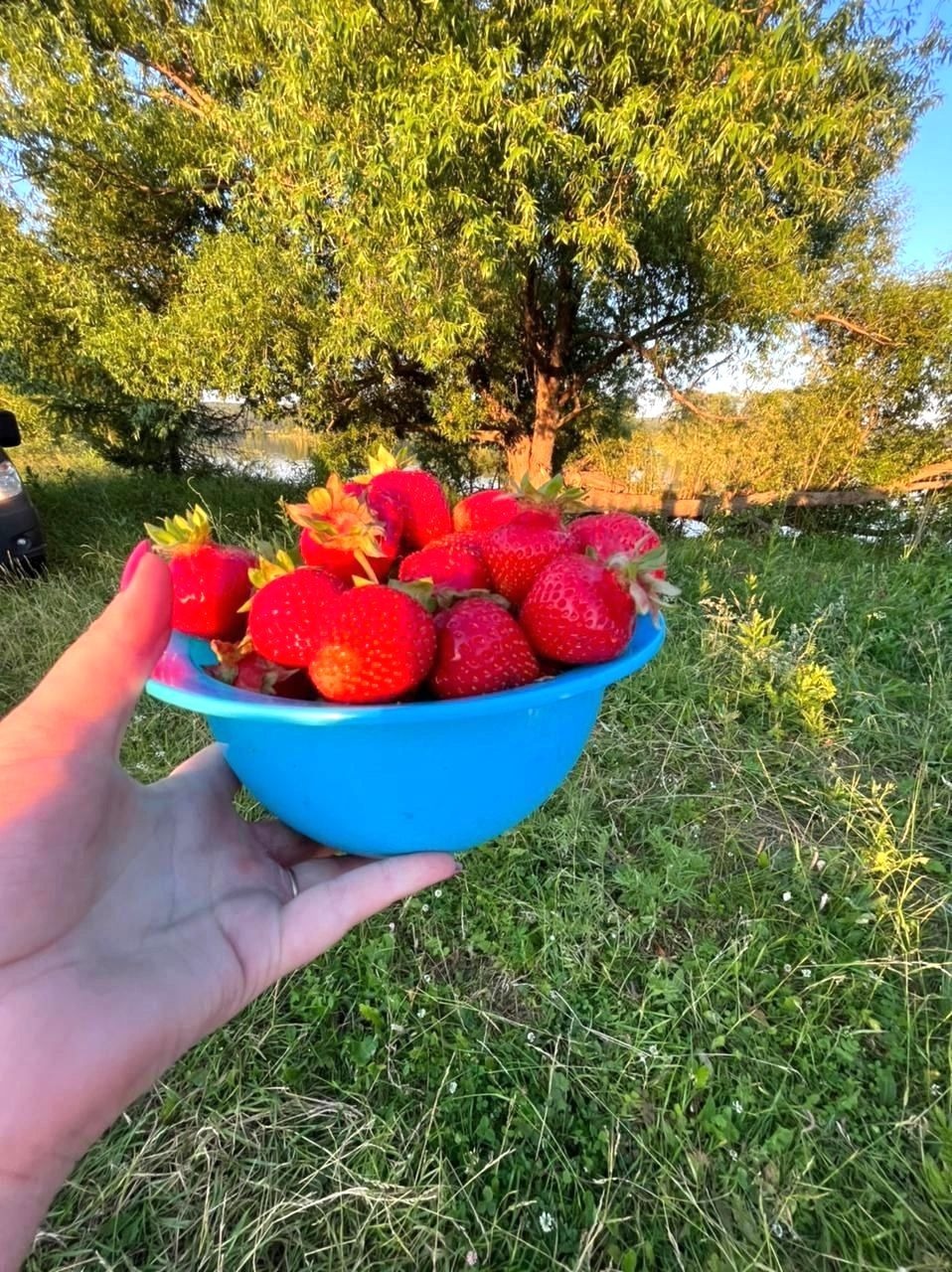 предоставлено Олегом Димитриевым.