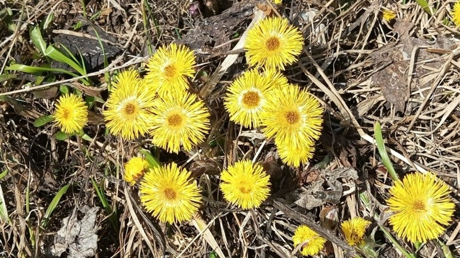 Евгении Сюткиной. «Общественная электронная газета».