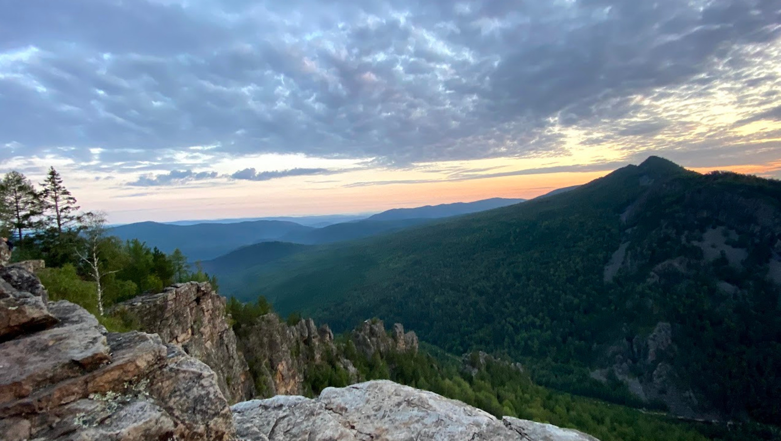 Елены Колоколовой.