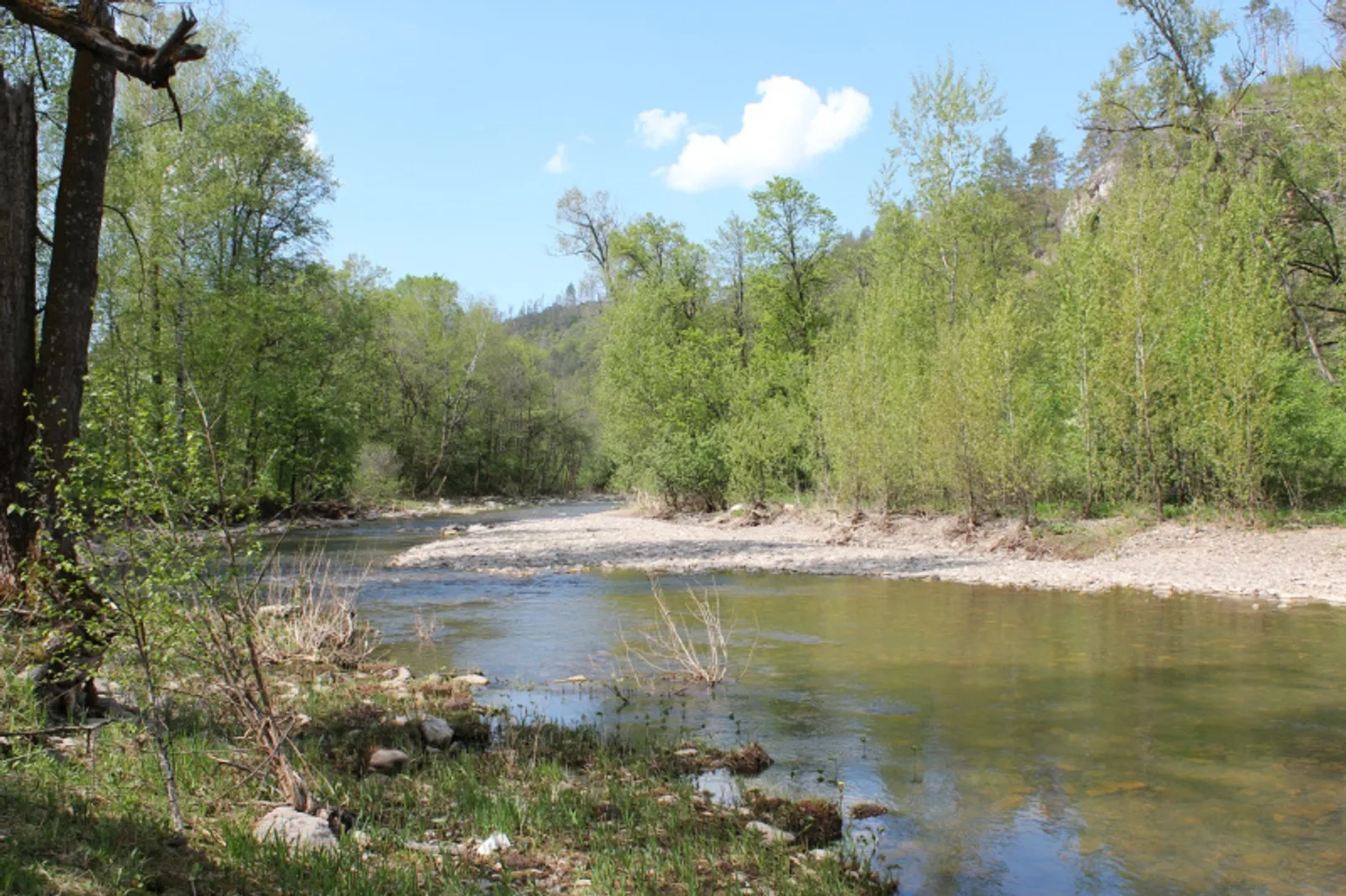 Фото автора.