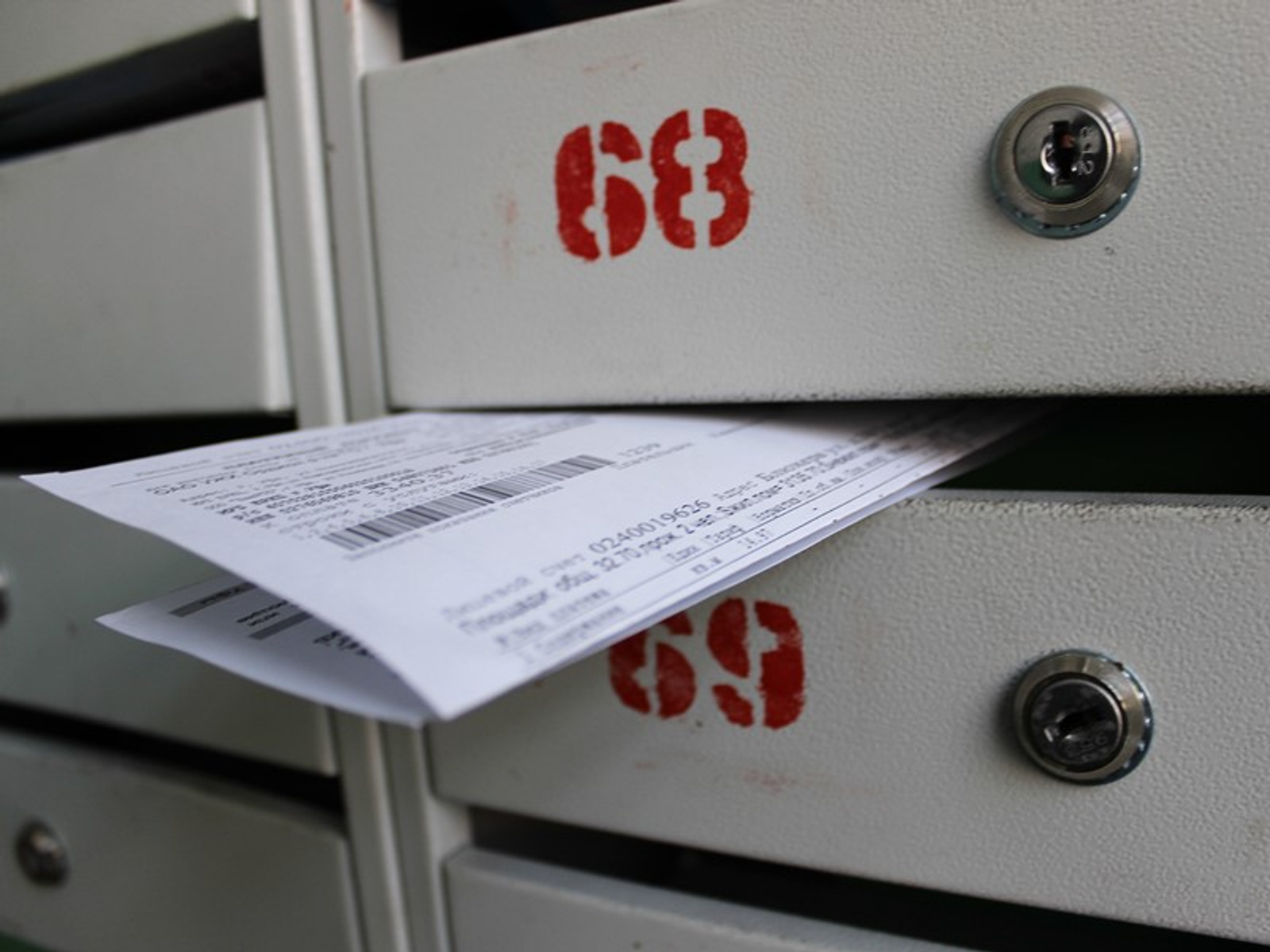 Фото Олега Яровикова.