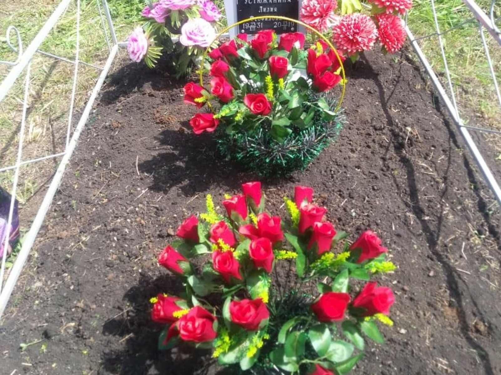 Фото Евгении Сюткиной.