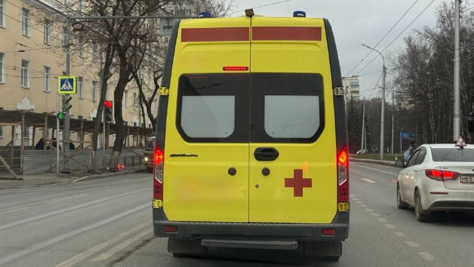 Елены Колоколовой. «Общественная электронная газета».