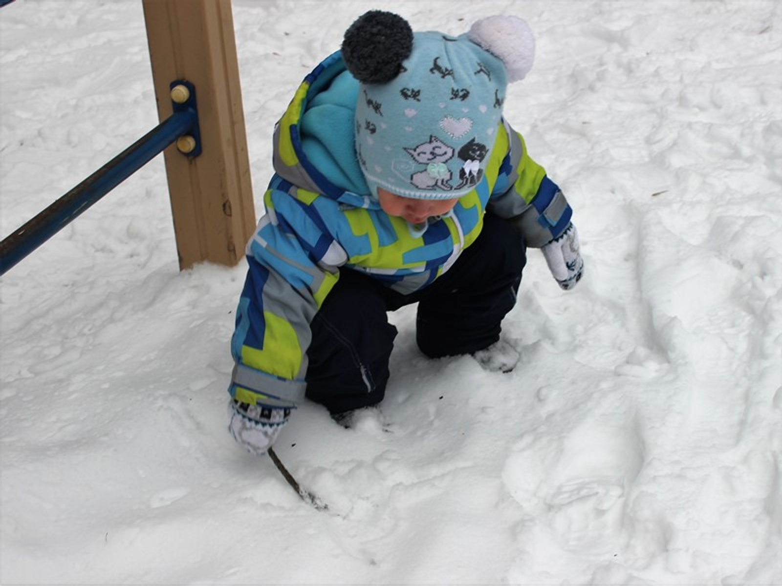 Фото автора.