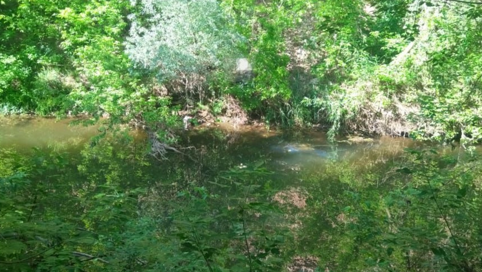 предоставлено пресс-службой УГИБДД МВД по РБ.