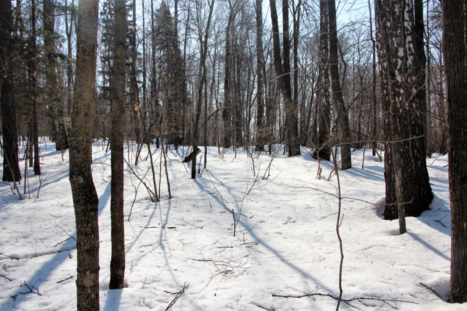 Фото Евгении Сюткиной.