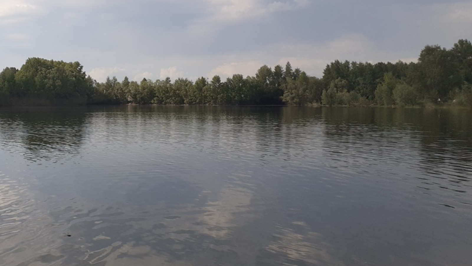 Владимира Шакиева.