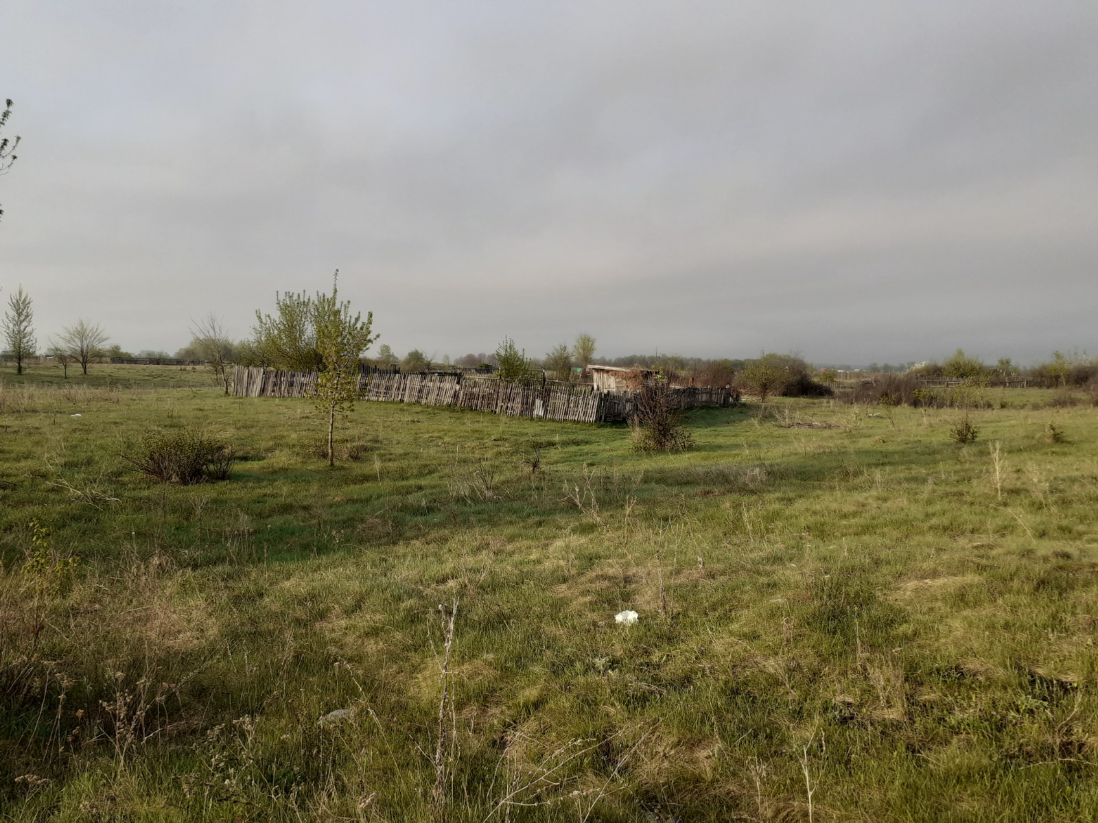 Владимира Шакиева. «Общественная электронная газета».