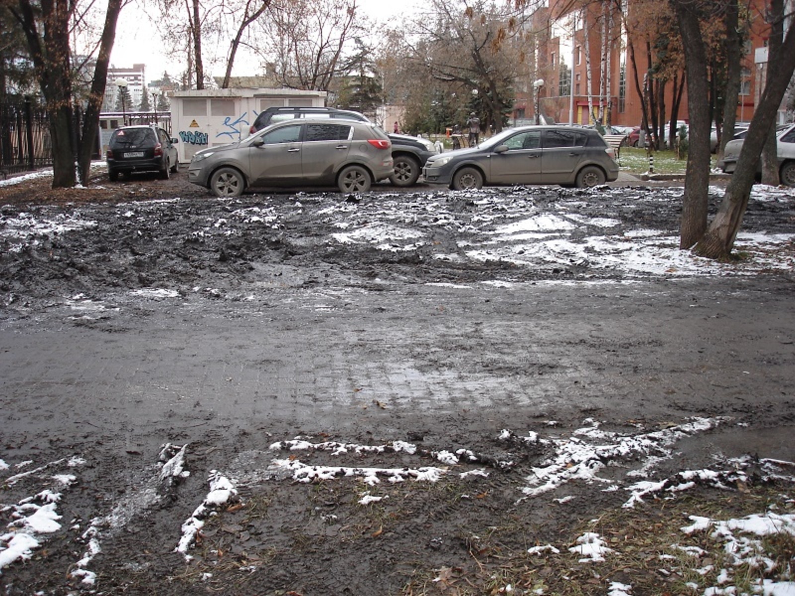 Фото автора.