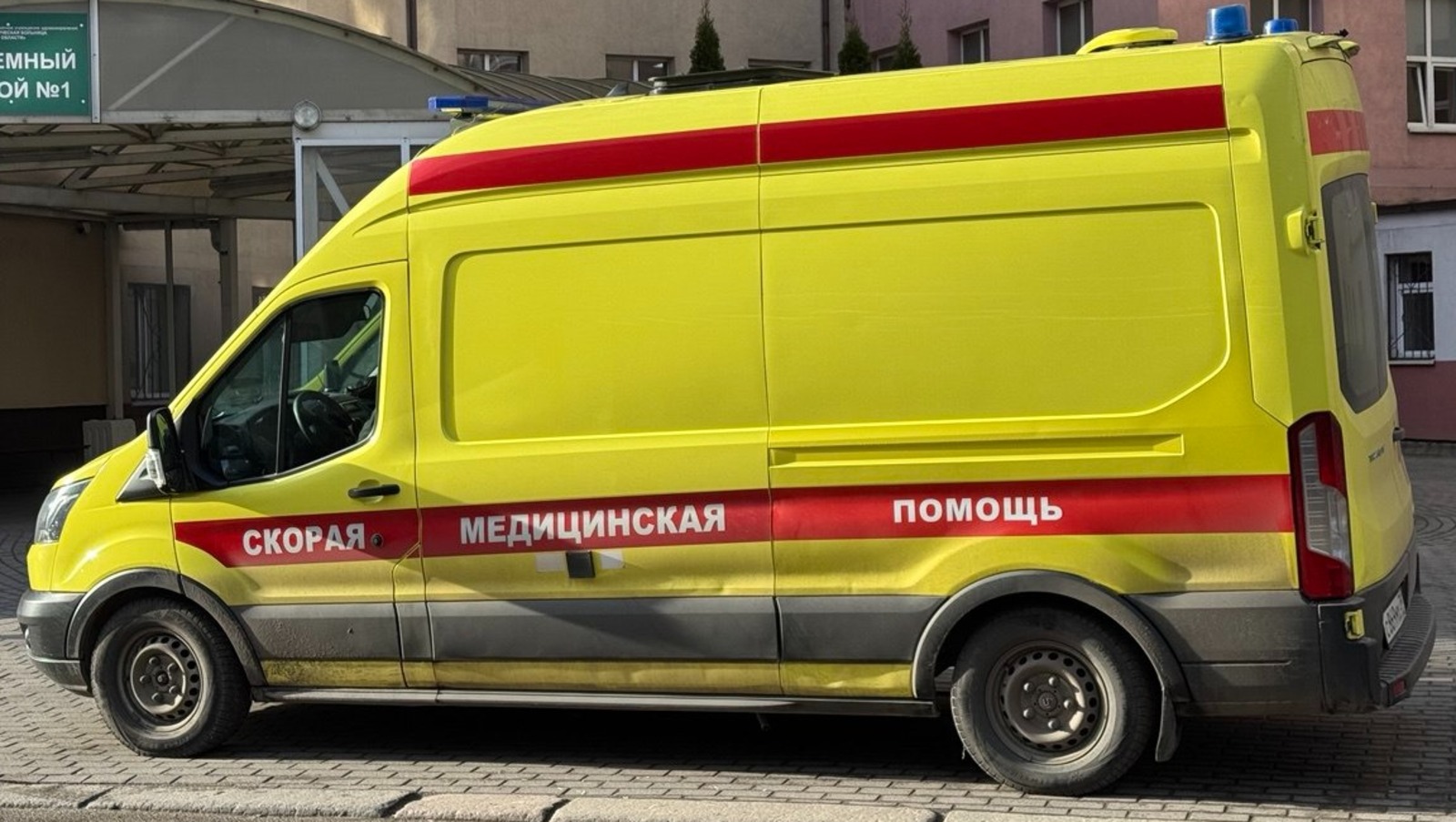 Елены Колоколовой.