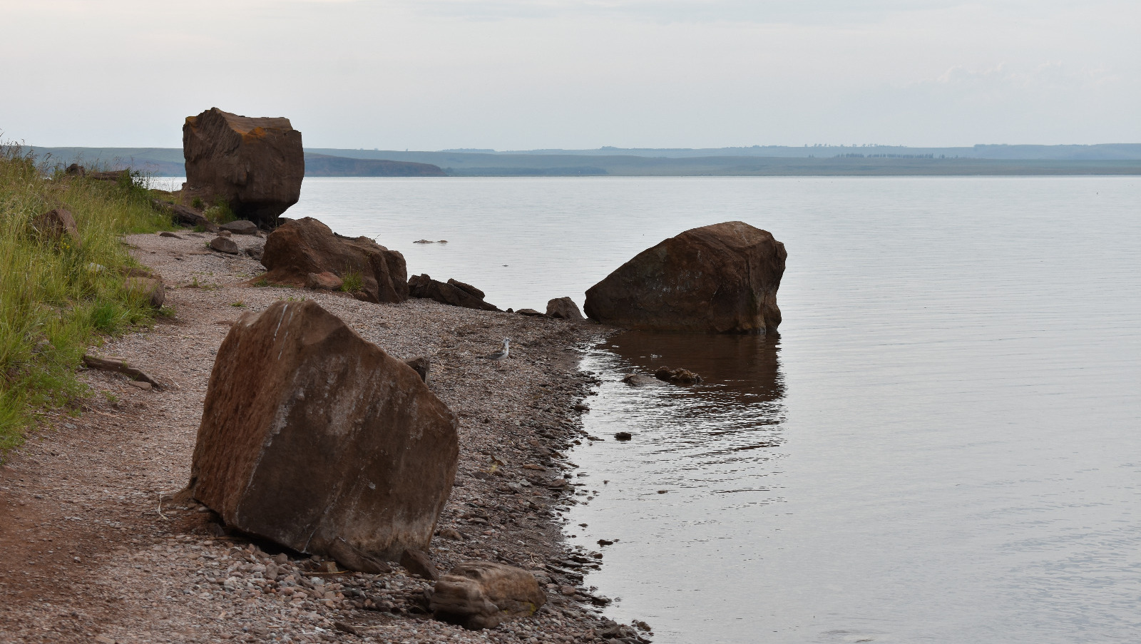 Елены Колоколовой.