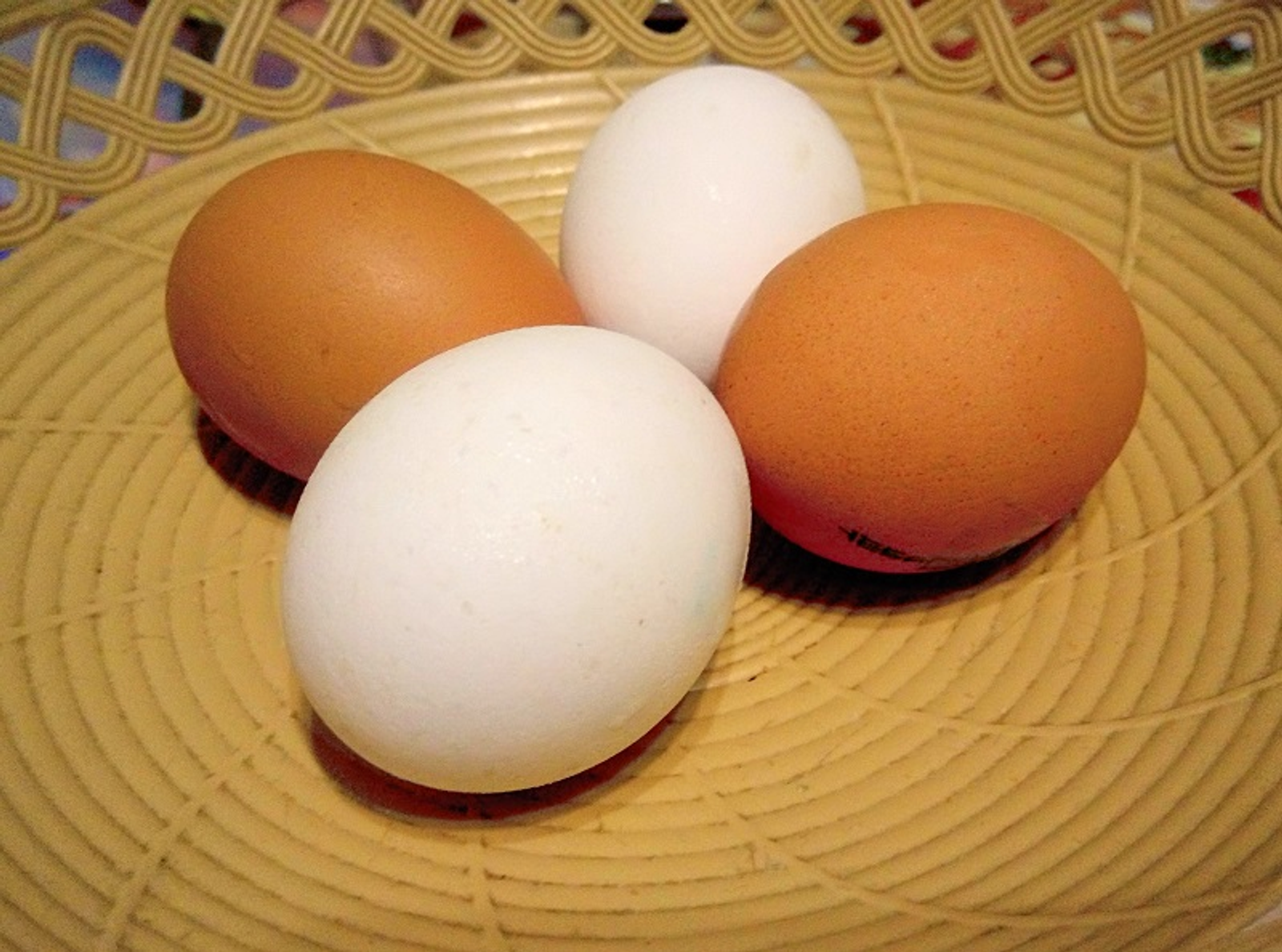 Фото Васили Саитовой.