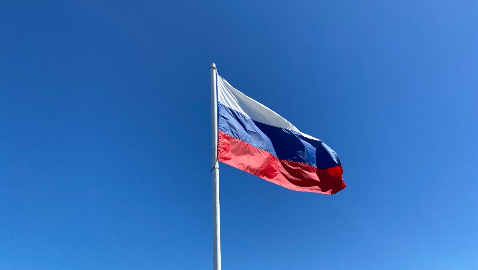 Елены Колоколовой.