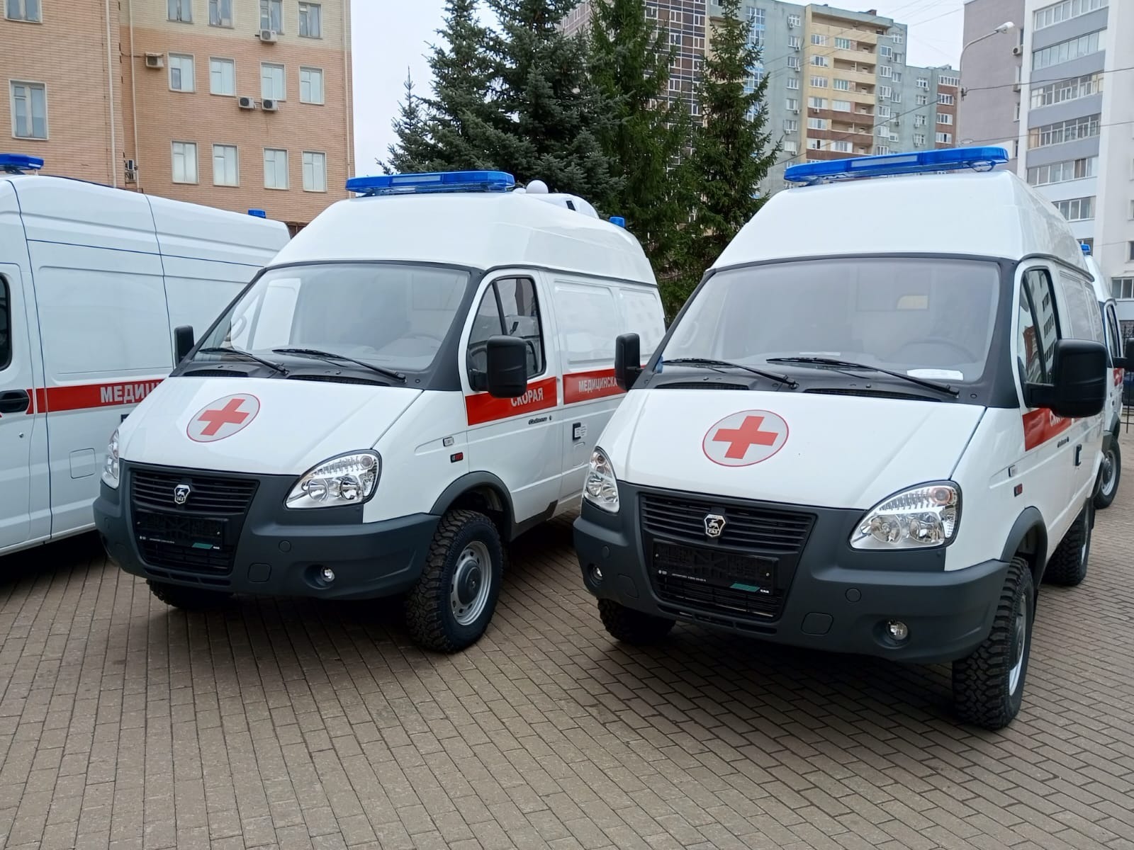 Евгении Сюткиной.