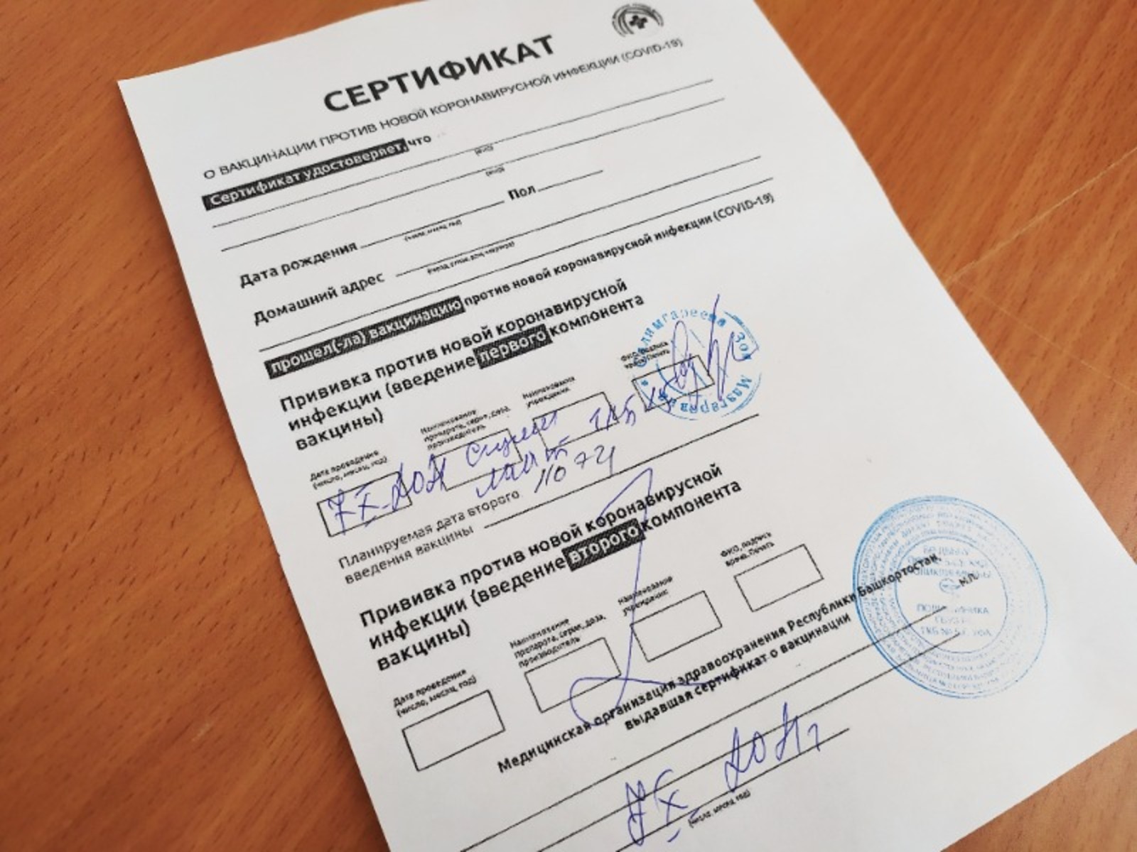 Васили Саитовой.