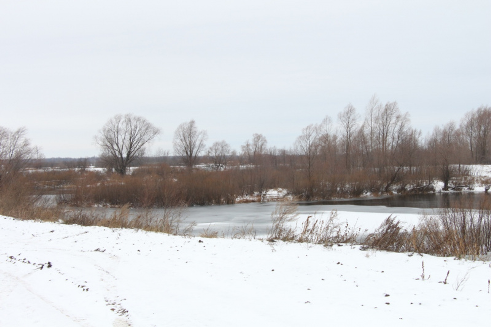 Фото Альмира Сибагатуллина.