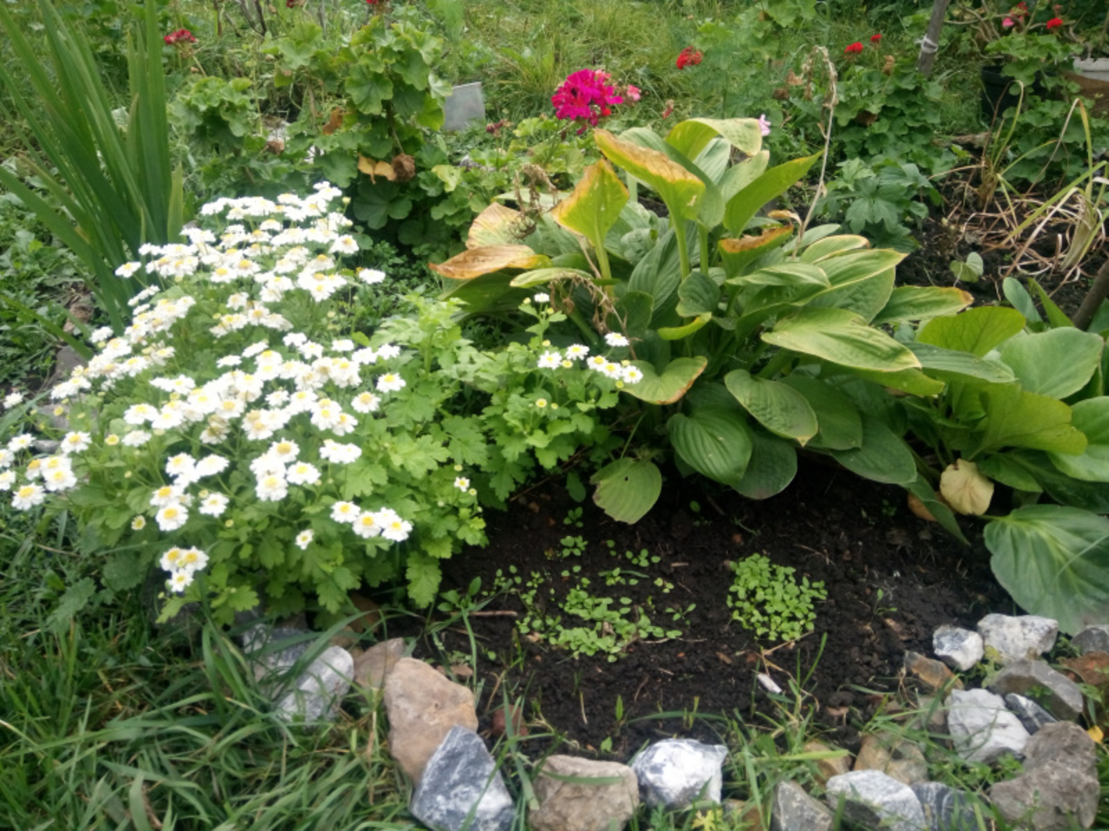 Фото Васили Саитовой.