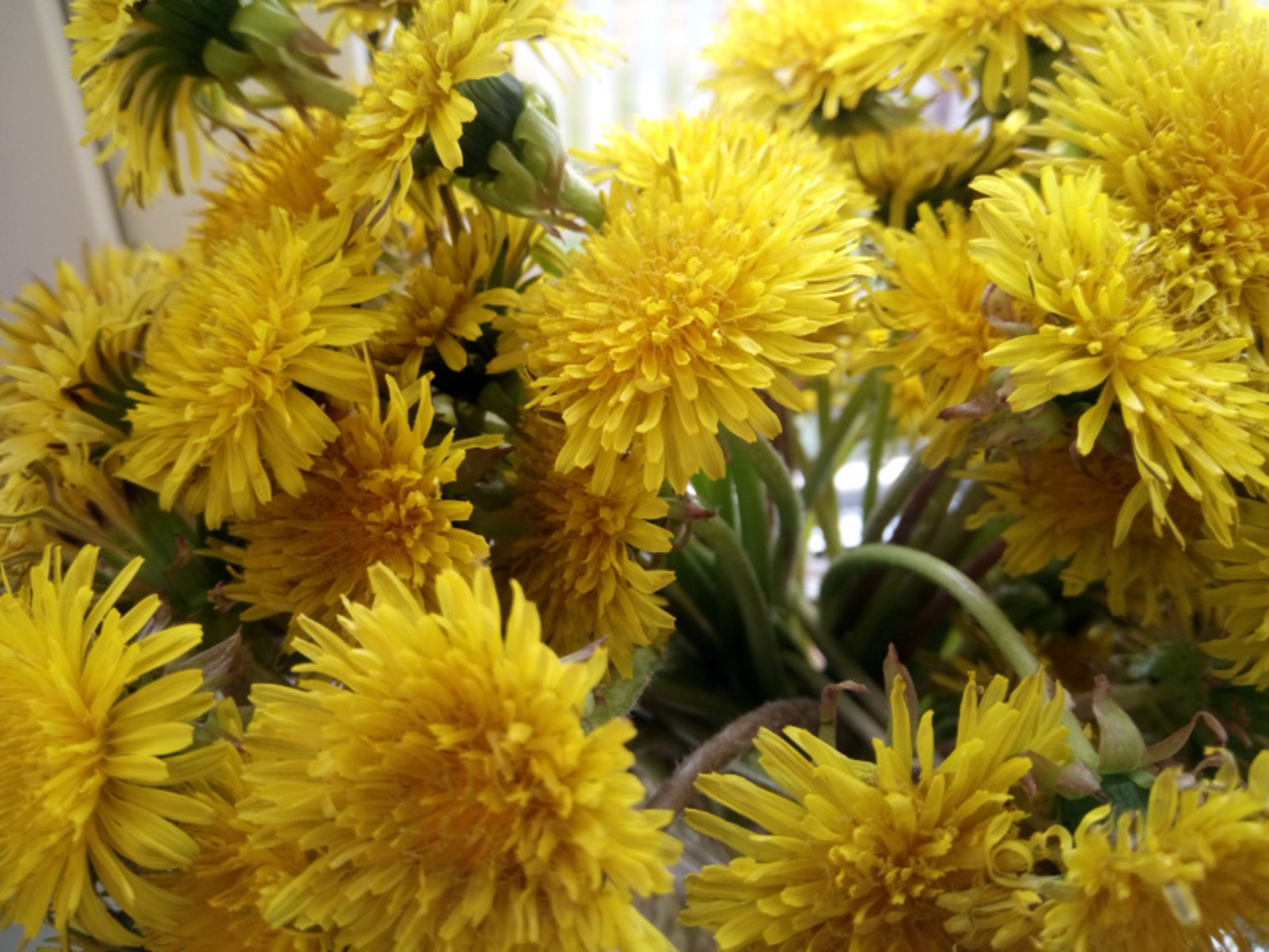 Фото Васили Саитовой.