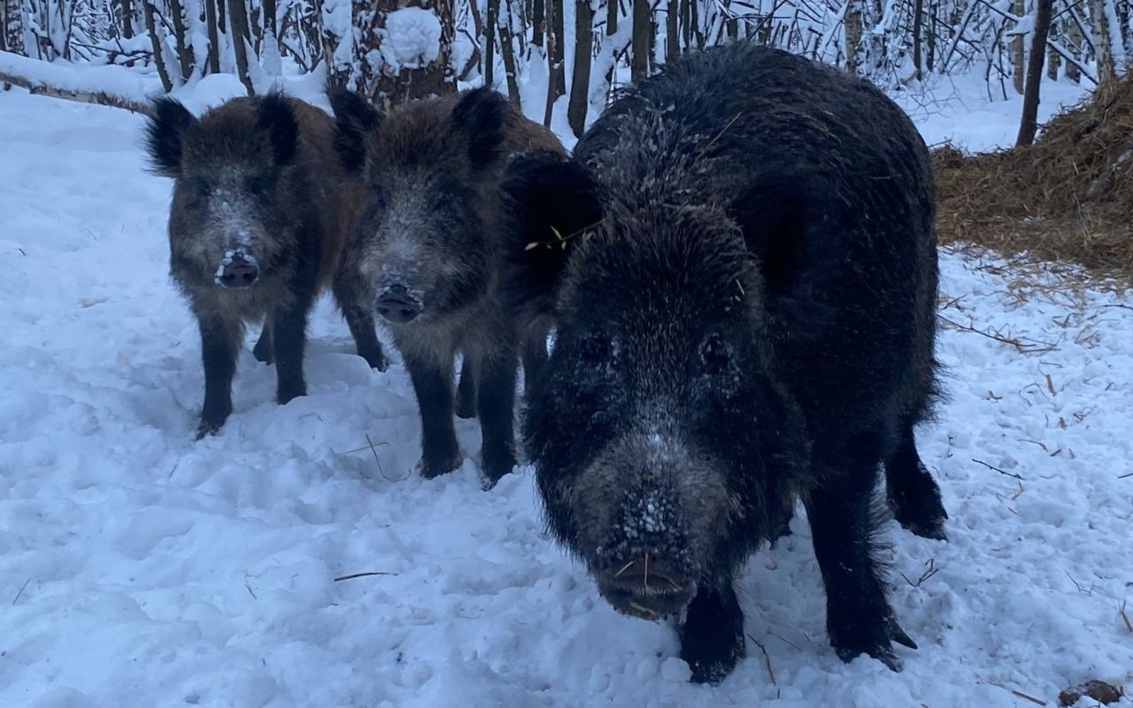 пресс-служба. Минэкологии РБ.