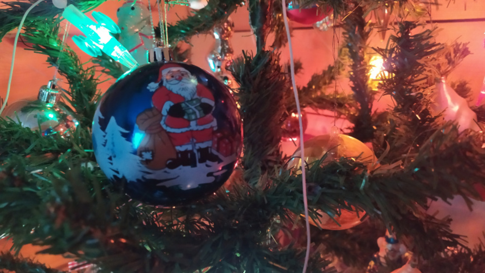 Фото Васили Саитовой.