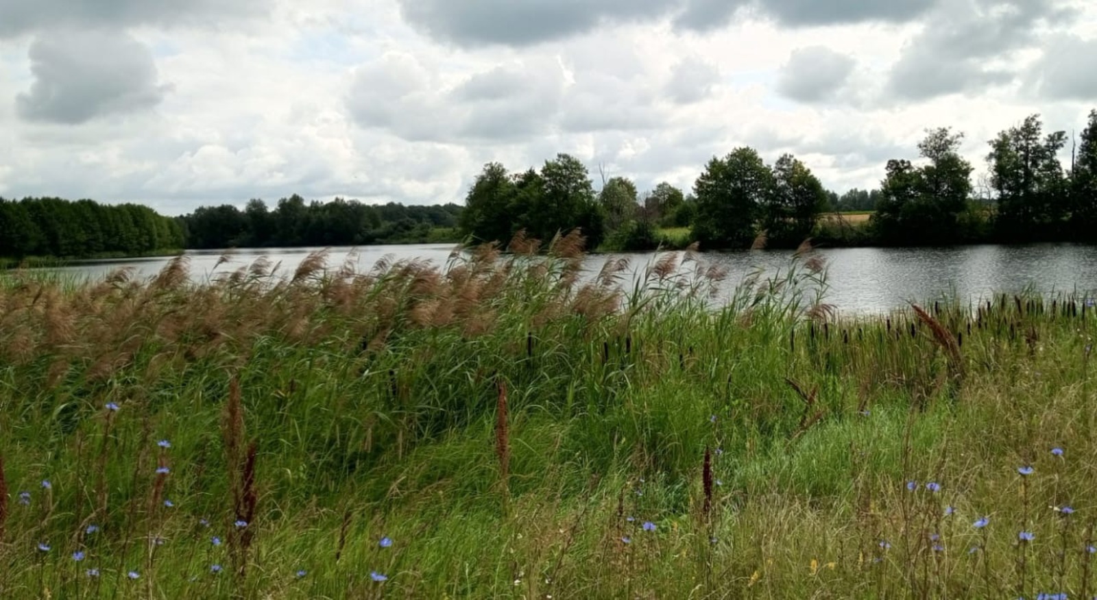 Евгении Сюткиной.