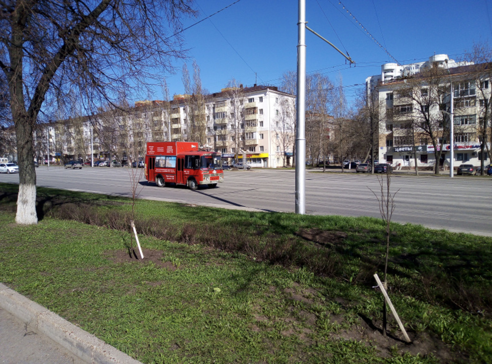 Фото автора.