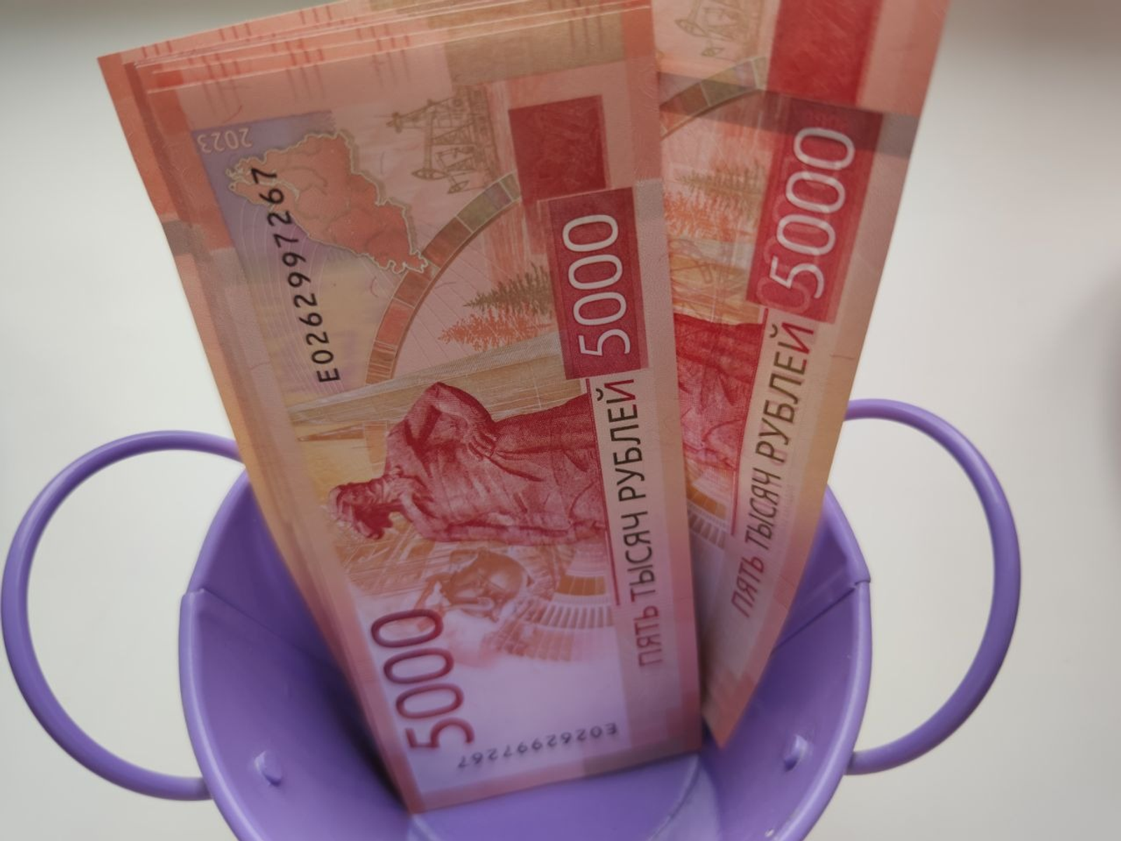 Дарьи Святохиной. «Общественная электронная газета».