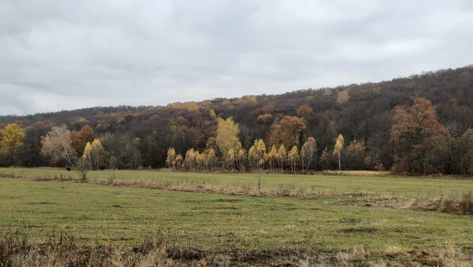 Владимира Шакиева.