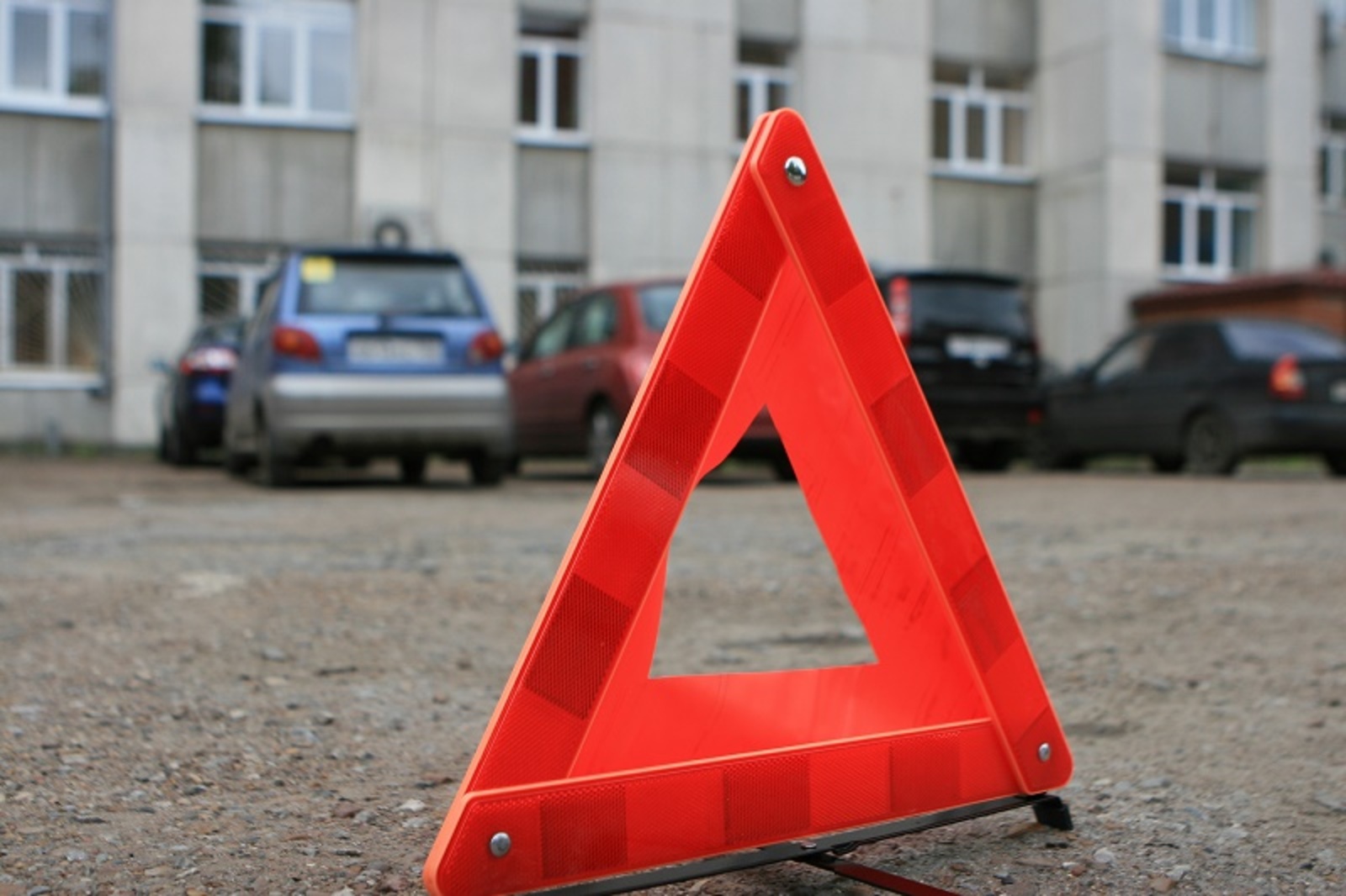 Фото Андрея Старостина.