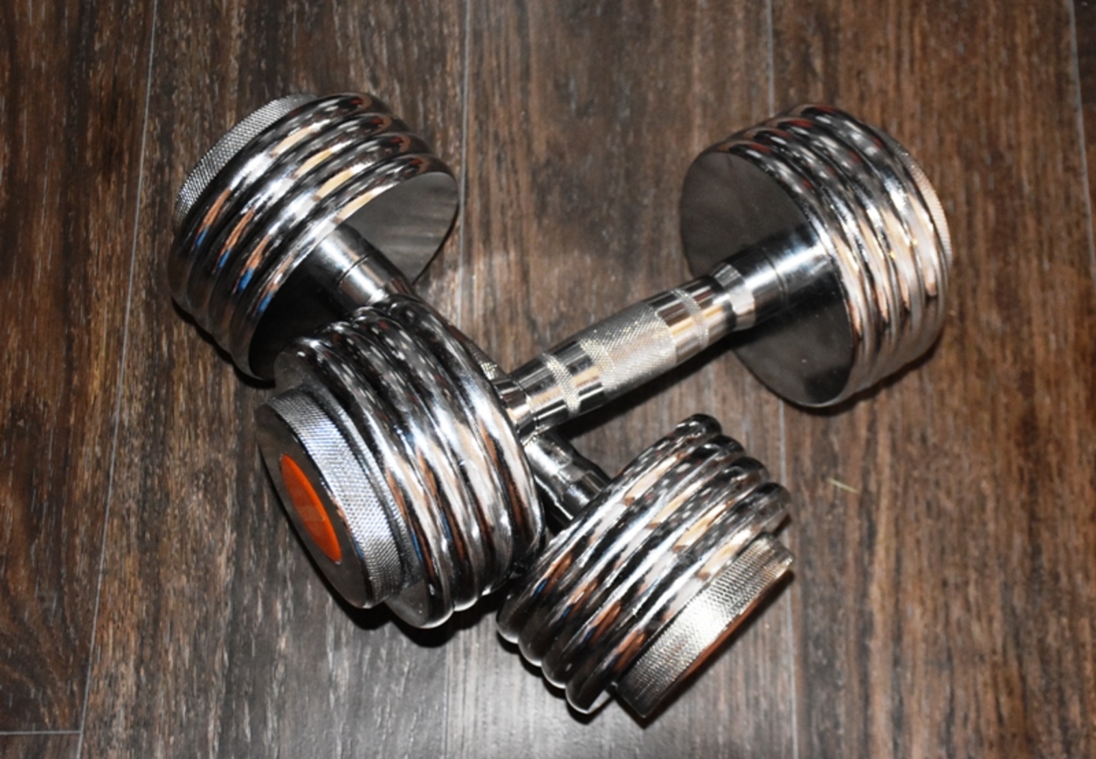 Фото Елены Колоколовой.