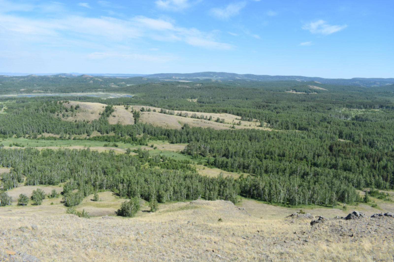 Фото автора.