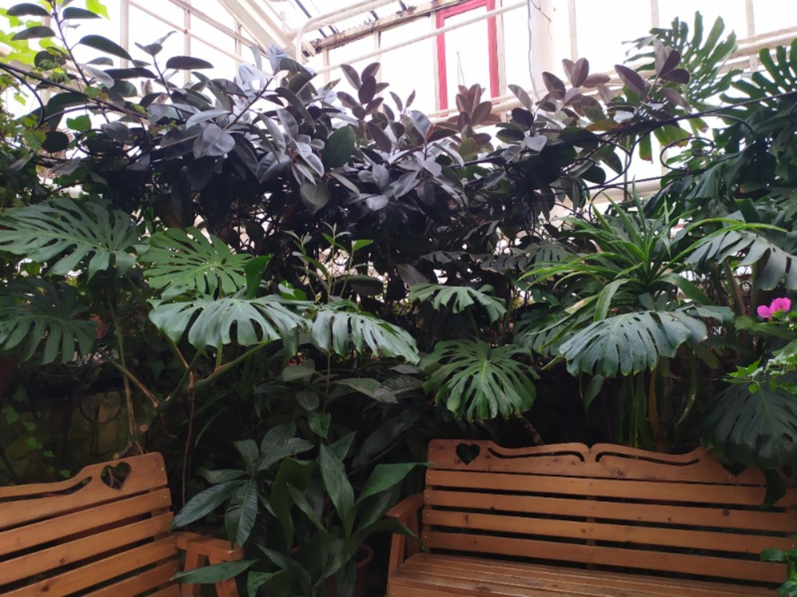 Васили Саитовой.