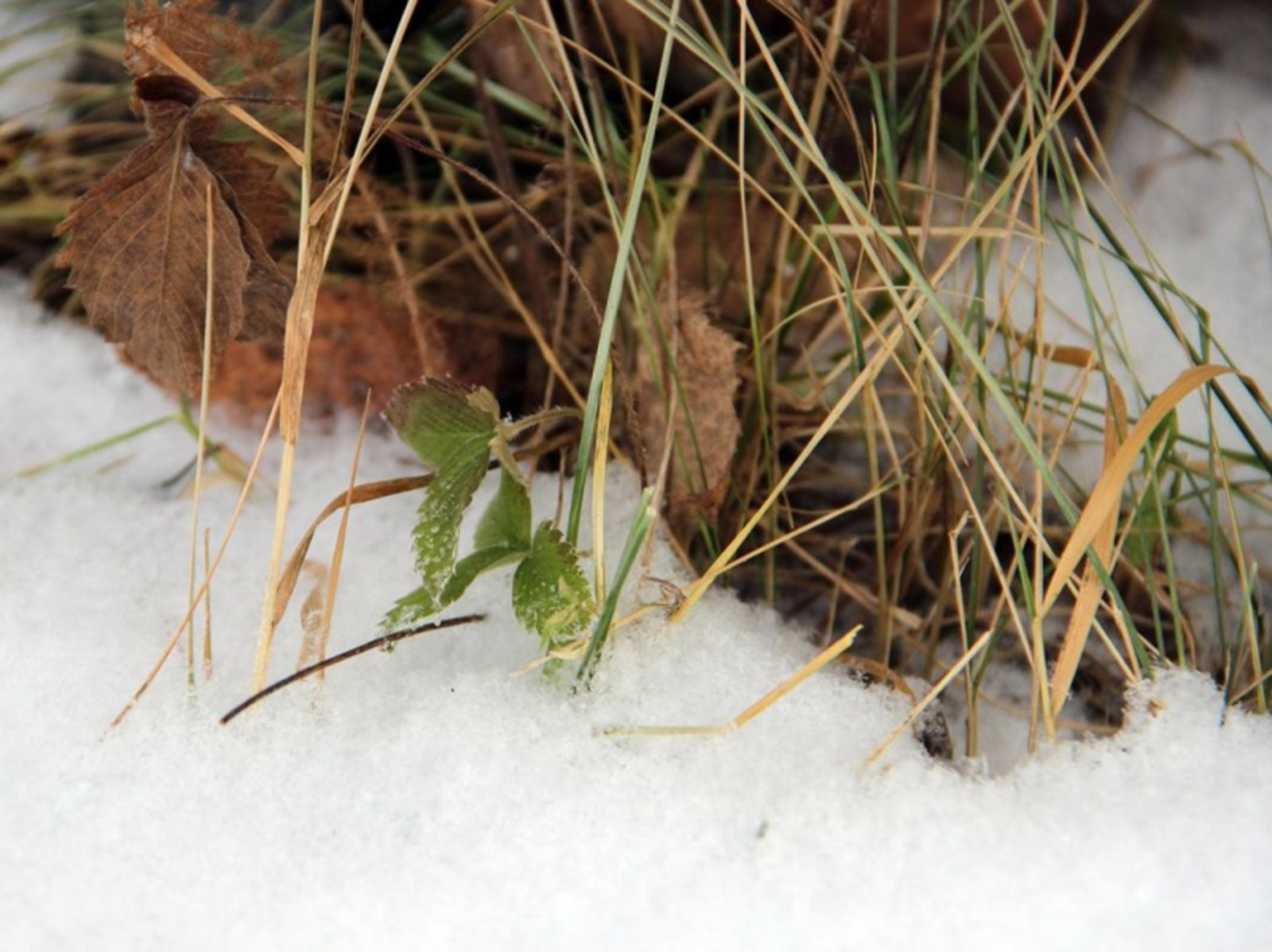 Фото ИА Башинформ.