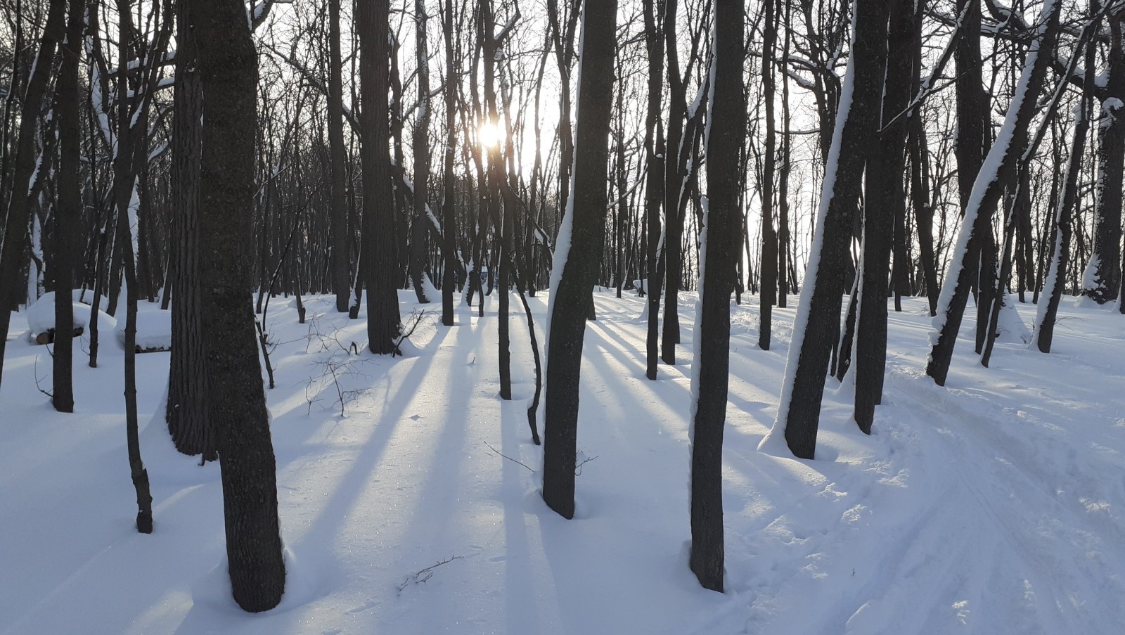 Владимира Шакиева. «Общественная электронная газета».