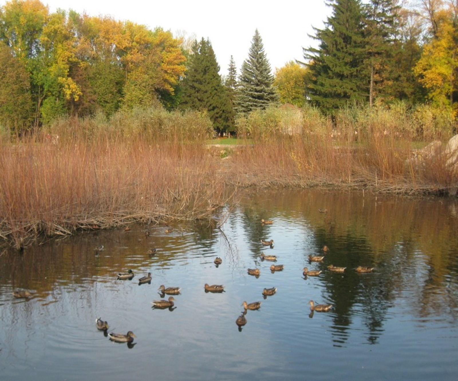 Фото автора.