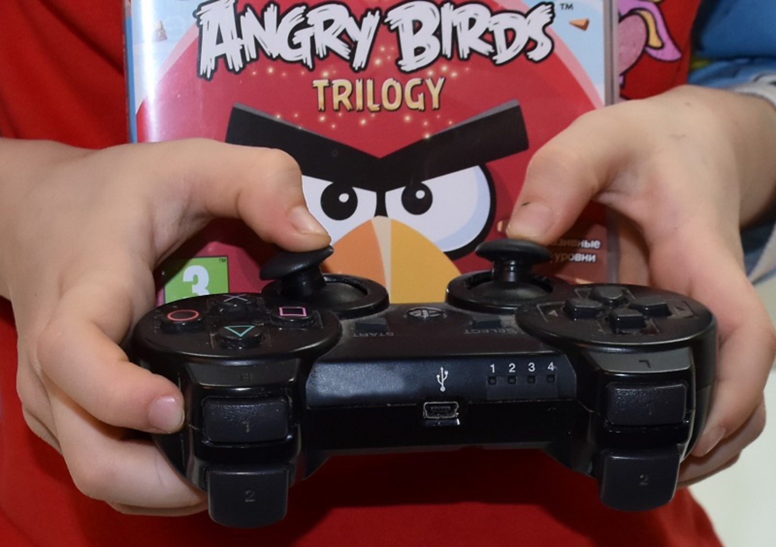 Фото автора.