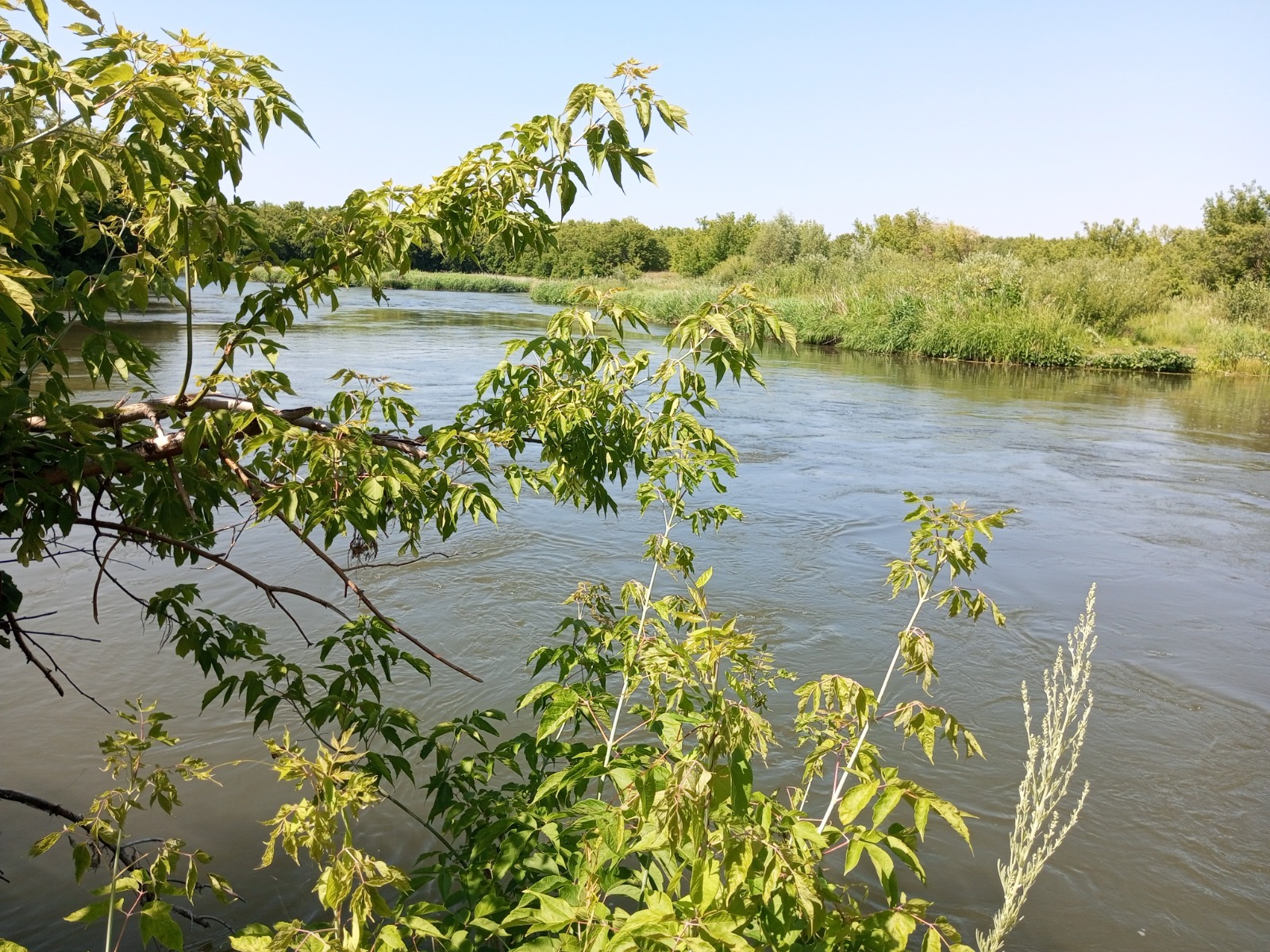 Евгении Сюткиной.