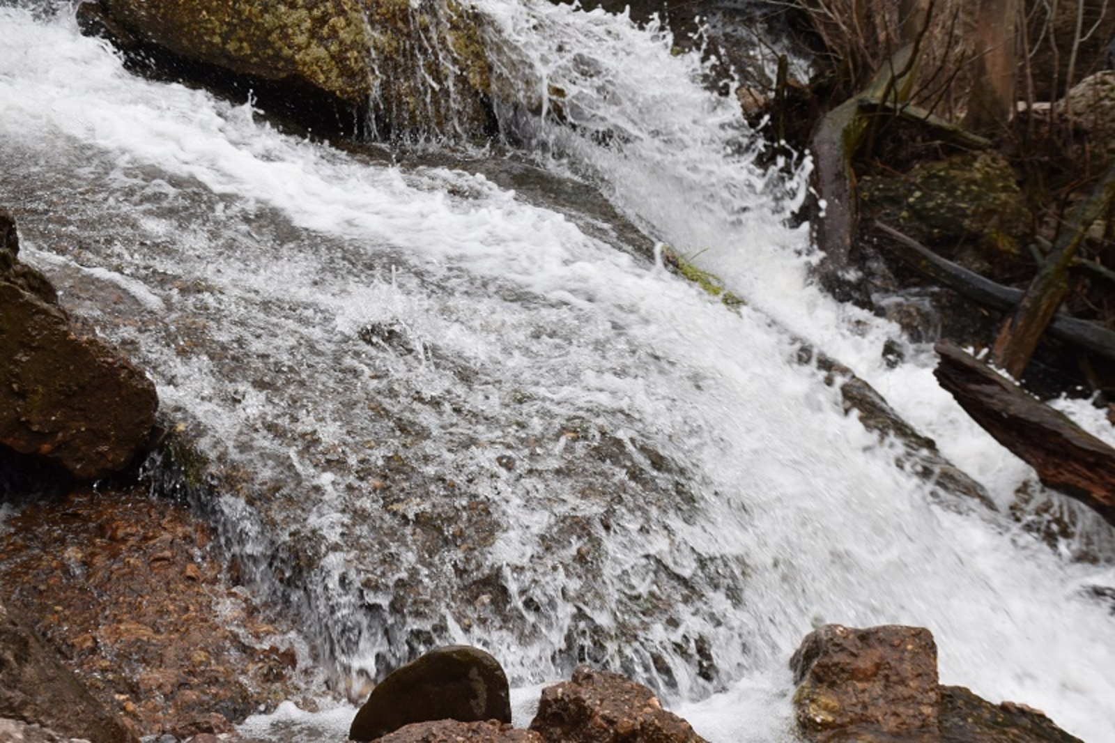 Фото автора.