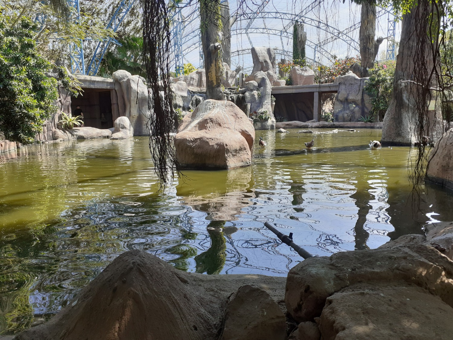 Владимира Шакиева. «Общественная электронная газета».