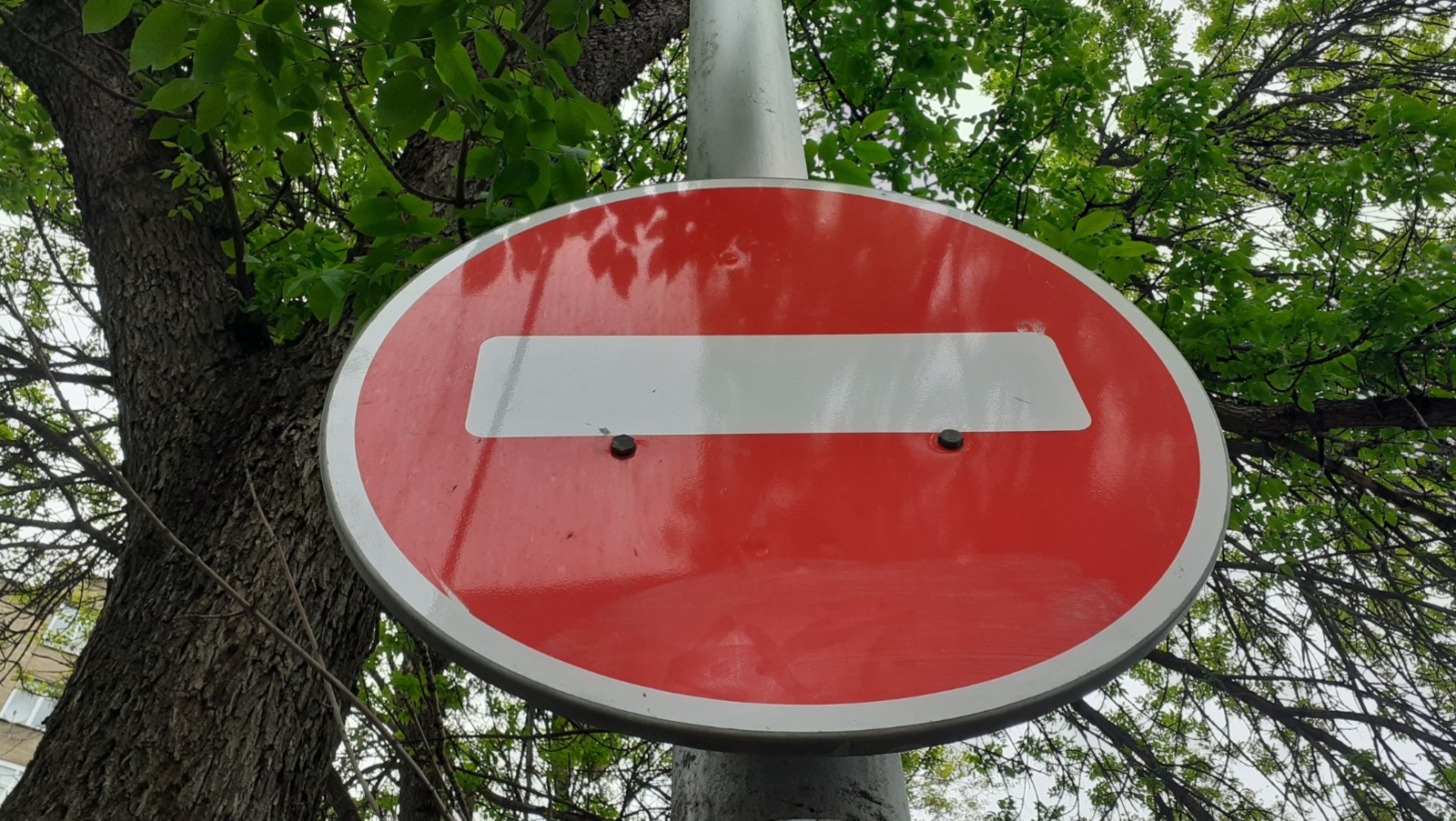 Владимира Шакиева.