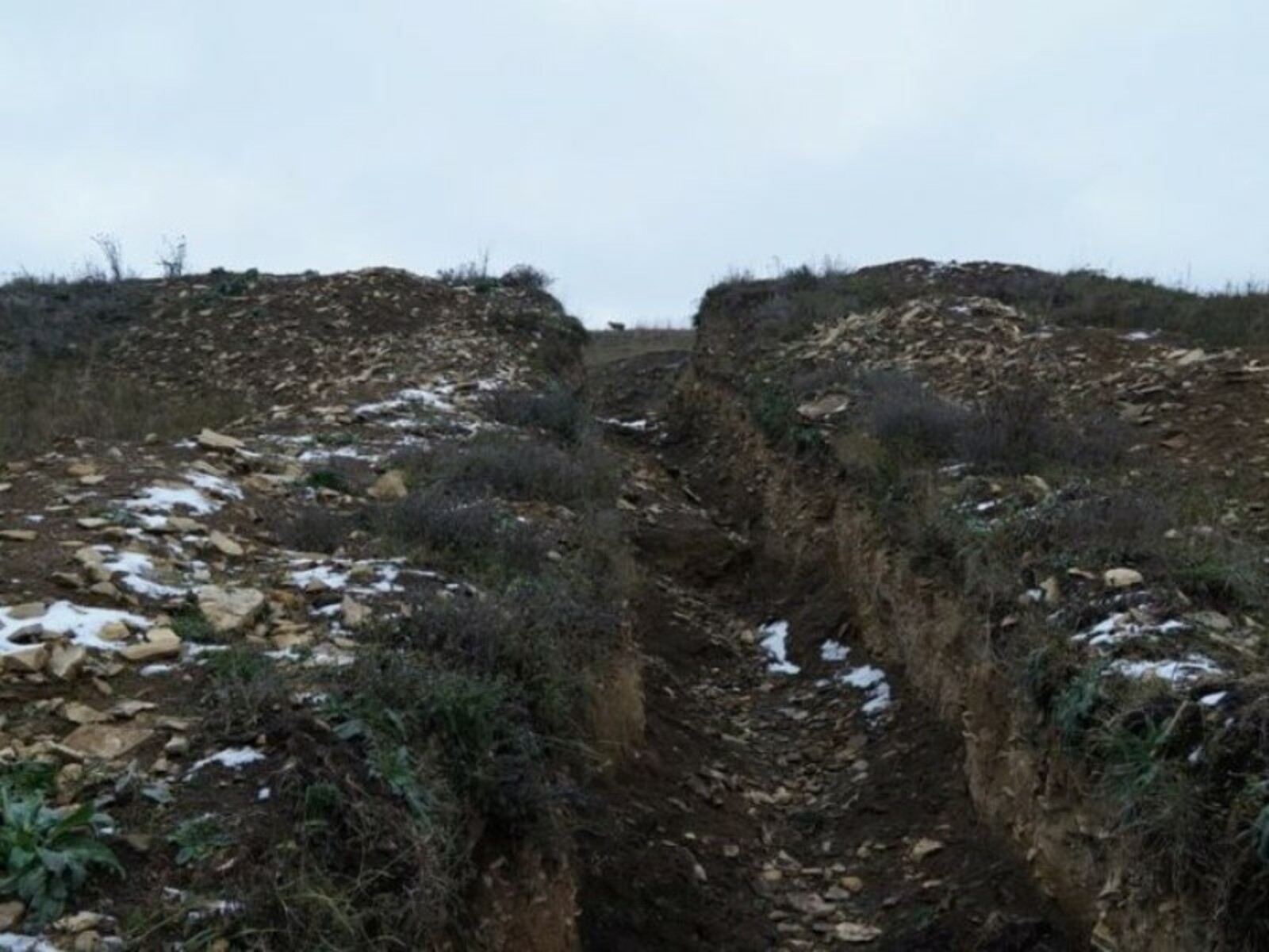 Фото предоставлено Рустамом Сиразетдиновым.