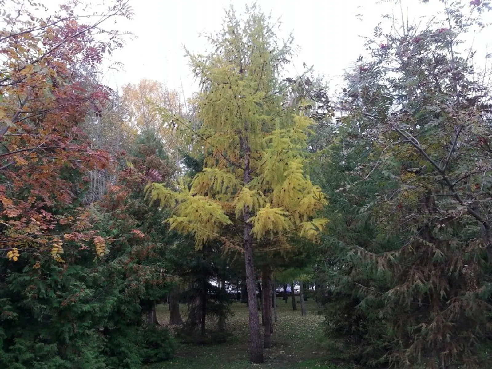 Фото автора.